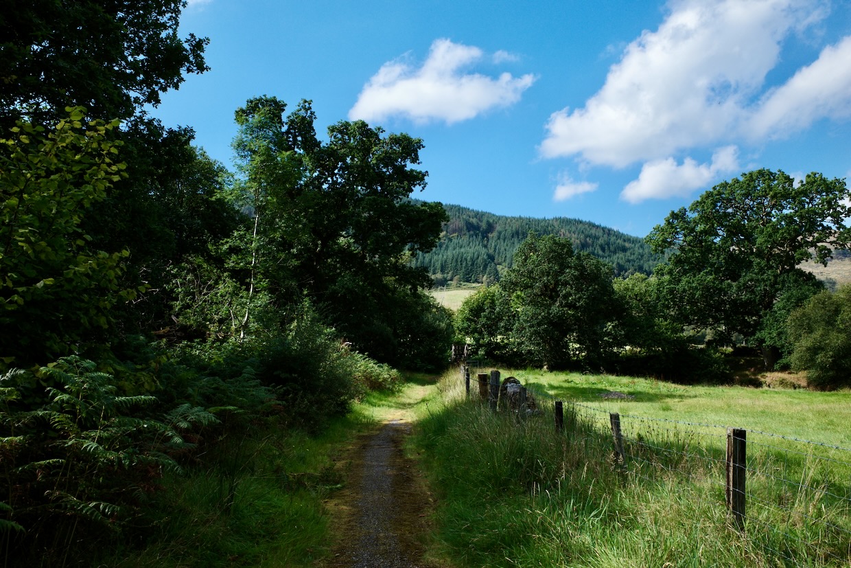 Somewhere along the very green Cowal Way