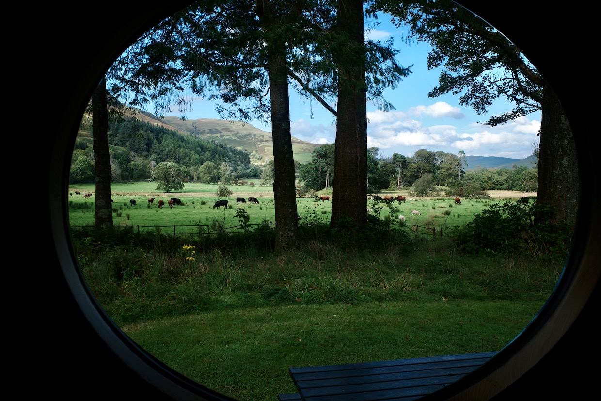 The bothy's bovine portal