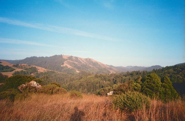 Looking south towards Samuel P. Taylor State Park