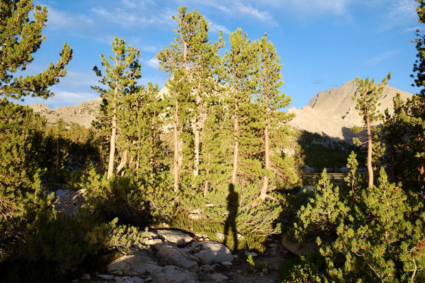 Looking south towards Samuel P. Taylor State Park