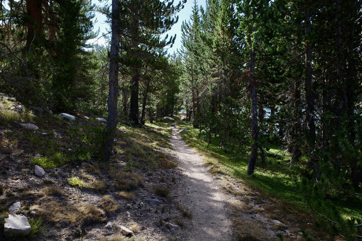 Shaded trail heading south from Charlotte Lake